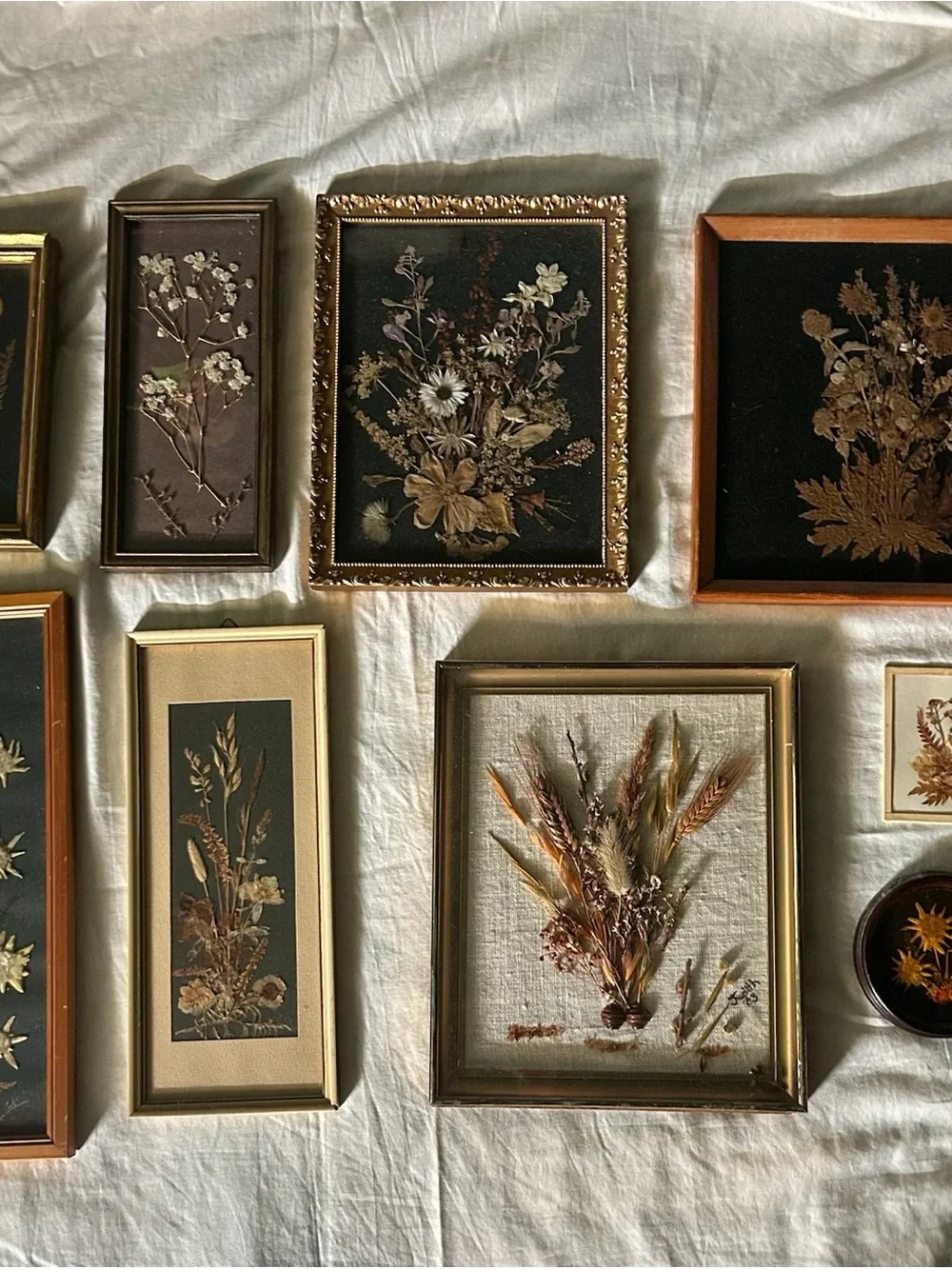 Vintage Framed Dried Floral Wall Art Collqge